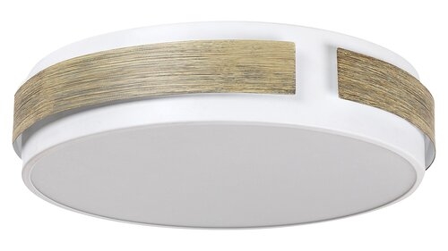 Stropní svítidlo LED 24W SALMA RABALUX 5646